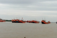 বাংলাদেশের জলসীমায় প্রবেশ করার অপরাধে অর্ধসহস্রাধিক ভারতীয় জেলে আটক