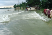 ৪ ফুট উঁচু জোয়ারের পানি, পানির নিচে ১৬ গ্রাম