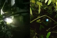 পুকুরে জ্বলছে রহস্যময় আলো, দেখতে হাজার হাজার মানুষের ঢল