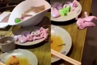 প্লেট থেকে লাফাতে লাফাতে পালাচ্ছে মুরগির কাটা মাংস, সেই দৃশ্য দেখে ভয়ে চিৎকার নারীর প্লেট থেকে লাফাতে লাফাতে পালাচ্ছে মুরগির কাটা মাংস, সেই দৃশ্য দেখে ভয়ে চিৎকার নারীর