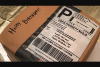 এ তো বক্স নয়, কেক! ডেলিভারি বক্স খুলতে গিয়ে চমকে গেলেন স্ত্রী