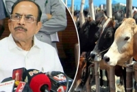 মুসলিমদের গরু কুরবানি দিতে নিষেধ করলেন ভারতের মন্ত্রী!