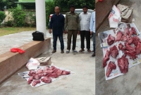 হরিণের মাংস বলে বিক্রি করে শূকরের মাংস! হরিণের মাংস বলে বিক্রি করে শূকরের মাংস!