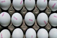 এবার ডিমের গায়ে এক্সপায়ারি ডেট!