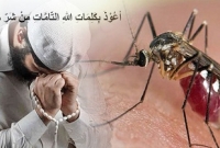 ডেঙ্গু মশাসহ বিষাক্ত প্রাণী থেকে বেঁচে থাকার দোয়া