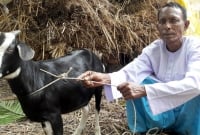 প্রধানমন্ত্রীর দীর্ঘায়ু কামনা করে খাসি কোরবানি দিলেন আকন্দ