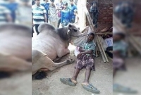 স্যার, জবাইয়ের আগে গরুটারে একটু আস্তে ফালায়েন