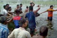 অবশেষে ঢাকা থেকে টাঙ্গাইল গিয়ে সেই ক্ষিপ্ত মহিষকে ধরলেন পশু কর্মকর্তা