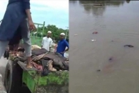 নদীতে হাজার হাজার পশুর চামড়া ভাসিয়ে কাঁদছেন মাদরাসার ছাত্ররা