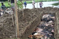 ক্ষোভ এবং প্রতিবাদে একসঙ্গে ৯০০ চামড়া পুঁতে ফেললেন তারা
