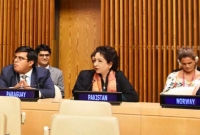 জাতিসংঘে নিজ দেশের স্থায়ী প্রতিনিধিকে 'চোর' বললেন পাকিস্তানি নাগরিক