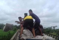 দাম না পেয়ে ক্ষোভে-দুঃখে নদীতে চামড়া ফেলছেন ব্যবসায়ীরা দাম না পেয়ে ক্ষোভে-দুঃখে নদীতে চামড়া ফেলছেন ব্যবসায়ীরা