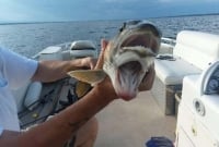 দুই মুখ ওয়ালা অদ্ভূত এক মাছ ধরে ভাইরাল নারী