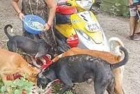 রাস্তার কুকুরদের প্রতিদিন দুপুরে মাংস-ভাত খাওয়াতে ৩ লাখ টাকা ঋণ, গয়না বিক্রি!