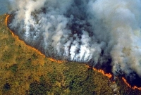 প্রবল বর্ষণে এবার নিভতে পারে আমাজনের আগুন