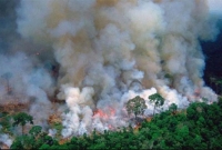 জি-৭ এর ২২ মিলিয়ন ডলার ফিরিয়ে দিল ব্রাজিল