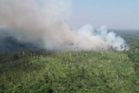 আমাজনে মার্কিন বিমান বিধ্বস্ত, মারা গেছেন বিমানের সব আরোহীরা