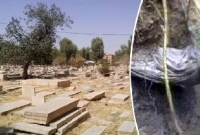 ছিলেন ভাল মানুষ, ২২ বছর পরও কবরে অক্ষত পাওয়া গেল নাসিরের ম'রদে'হ