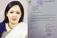 রুমিন ফারহানার প্লট চাওয়া নিয়ে যা বললো বিএনপি