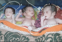 হবিগঞ্জে একসঙ্গে জন্ম নিলো এক ছেলে ও দুই কন্যা সন্তান