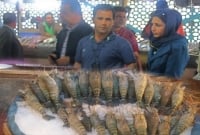 সৌদি আরবকে বাদ দিয়ে ইরান থেকে চিংড়ি নিচ্ছে চীন