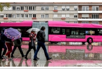 যে শহরে বাসে উঠলে ভাড়া লাগে না! যে শহরে বাসে উঠলে ভাড়া লাগে না!