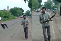 যে কারণে তিন বছর ধরে যুবকের পিছু ছাড়ছে না কাকটি, ঘর থেকে বের হলেই তাড়া করে!