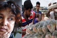 পদ্মার ইলিশ খাওয়ার অধিকার এপার ওপার সব বাঙালির সমান: তসলিমা নাসরিন