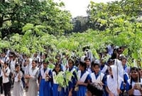 একদিনের টিফিনের টাকা বাঁচিয়ে ৩ বছরে দেড় লাখ গাছের চারা রোপণ