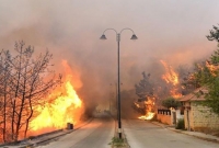 ইতিহাসে সবচেয়ে ভয়'ঙ্কর দাবানল, বিশ্ববাসীর কাছে লেবাননের সাহায্য কামনা