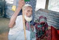 ৫ সন্তান থাকার পরও বৃদ্ধ বাবা-মায়ের ঠিকানা গোয়ালঘর!