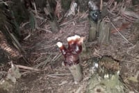 ব্রাহ্মণবাড়ীয়ায় ‘গায়েবী হাত’ নিয়ে ব‌্যাপক তোলপাড়