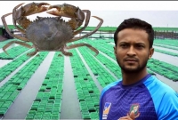 ৪ মাসের বেতন বাকি! সাকিবের কাঁকড়া ফার্মে আন্দোলনে শ্রমিকরা