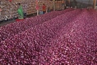 এবার ভারতে পেঁয়াজ রপ্তানি বন্ধ করে দিল তুরস্ক