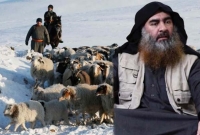 প্রাণে বাঁচতে মেষপালকের বেশে ঘুরতেন বাগদাদি