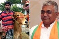 সোনা নিন, টাকা দিন: গরু নিয়ে ঋণ সংস্থার কার্যালয়ে হাজির কৃষক