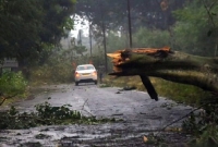 ঘূর্ণিঝড় 'বুলবুল'র কারণে ঘরের উপর গাছ পড়ে বৃদ্ধের মৃত্যু