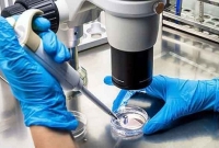  সব ধরনের ক্যান্সার নিরাময়ে নতুন ভাইরাস আবিষ্কার