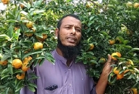 প্রধানমন্ত্রী শেখ হাসিনাকে নিজের গাছের কমলা উপহার দিতে চান কৃষক ওমর ফারুক