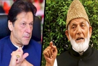 কাশ্মীরে ভারতের সেনারা বাড়ি বাড়ি ঢুকে নারীদের যৌ'ন নি'র্যা'তন চালাচ্ছে : গিলালি