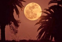 পূর্ণিমার চাঁদের চেয়েও সুন্দর ছিলেন আমার নবীজি (সা:)