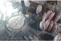 কেরানীগঞ্জে নানা কেমিকেল মিশিয়ে বড় পাতিলে চুলায় তৈরি হচ্ছিল ‘জনসন বেবি লোশন’