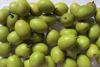 মহানবী (সা.)-এর প্রিয় ফল জলপাই