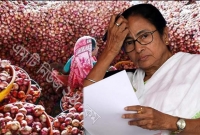 পেঁয়াজ নিয়েই চিন্তায় মমতা ব্যানার্জীও