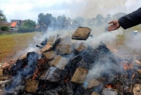 কয়েক টন বাজেয়াপ্ত গাঁ'জা পোড়াল পুলিশ, নে'শায় বুঁদ এলাকাবাসী!