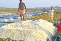 এক মণ লবণে চাষী পায় ১৩০, ব্যবসায়ী ১২০০ টাকা