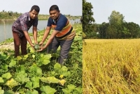 এক খাল খননেই দেড় লাখ কৃষকের মুখে হাসি