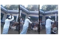 ভারতে পালা'নোর সময় বাঁশে ঝুলিয়ে যুবককে নির্যা'তন করা সেই মেম্বার আটক