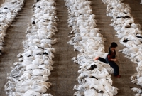 সিরিয়া যুদ্ধে ২৯ হাজারের বেশি শিশু নিহ'ত