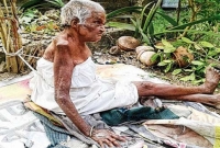 বয়স্ক বাবা-মায়ের দেখাশোনা না করলে কিংবা হে'নস্থা করলেই ছয় মাসের জে'ল